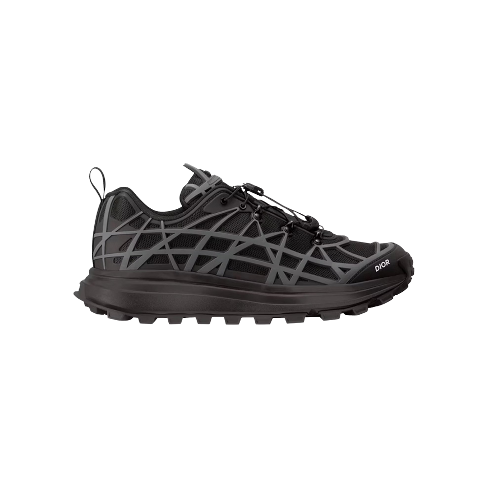 Dior B31